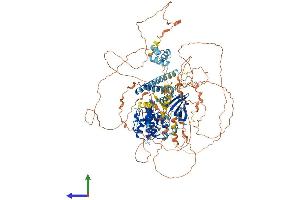 AlphaFold protein structure predicition of Human Recombinant LATS2 Protein, UniprotID Q9NRM7 (LATS2 Protein (AA 1-1088) (His tag))