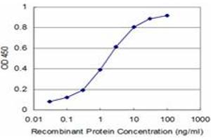 Detection limit for recombinant GST tagged ARHGEF11 is approximately 0. (ARHGEF11 抗体  (AA 651-750))