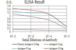 Black line: Control Antigen (100 ng), Purple line: Antigen(10 ng), Blue line: Antigen (50 ng), Red line: Antigen (100 ng), (HDAC2 抗体  (AA 217-327))