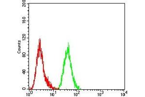 Flow Cytometry (FACS) image for anti-Cyclin E1 (CCNE1) (AA 1-100) antibody (ABIN7193589)