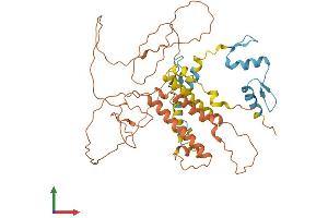 Protein Structure (PS) image for Zinc Finger Protein 114 (ZNF114) (AA 1-417) protein (His tag) (ABIN7545303)