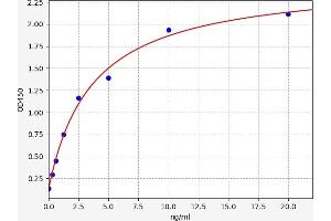 Typical standard curve (Hepcidin Prohormone ELISA 试剂盒)
