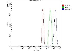 Flow Cytometry analysis of HEPA1-6 cells using anti-RAB7/RAB7A antibody (ABIN7600597). (RAB7A 抗体  (AA 21-177))