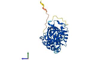 Protein Structure (PS) image for Sphingosine Kinase 1 (SPHK1) (AA 1-382) protein (His tag) (ABIN7559359)
