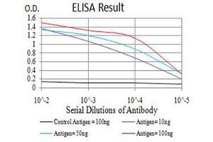 Black line: Control Antigen (100 ng),Purple line: Antigen (10 ng), Blue line: Antigen (50 ng), Red line:Antigen (100 ng) (ADIPOQ 抗体  (AA 16-154))
