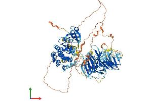 Protein Structure (PS) image for Mitogen-Activated Protein Kinase Kinase Kinase Kinase 5 (MAP4K5) (AA 1-846) protein (His tag) (ABIN7549187)