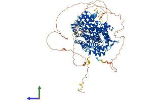 Protein Structure (PS) image for Cyclin F (CCNF) (AA 1-777) protein (His tag) (ABIN7563407)