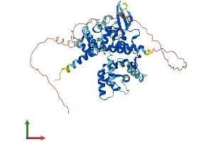 Protein Structure (PS) image for Mitochondrial Calcium Uptake 1 (MICU1) (AA 1-476) protein (His tag) (ABIN7554602)