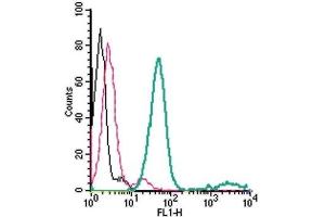 Flow Cytometry (FACS) image for anti-Solute Carrier Family 1 (Glial High Affinity Glutamate Transporter), Member 3 (SLC1A3) (AA 188-200), (Extracellular) antibody (FITC) (ABIN7043663)