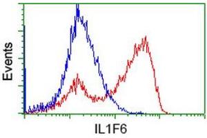 HEK293T cells transfected with either RC219328 overexpress plasmid (Red) or empty vector control plasmid (Blue) were immunostained by anti-IL1F6 antibody (ABIN2453185), and then analyzed by flow cytometry. (IL36A/IL1F6 抗体)