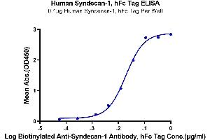 Immobilized Human Syndecan-1, hFc Tag at 1 μg/mL (100 μL/Well) on the plate. (Syndecan 1 Protein (SDC1) (AA 23-254) (Fc Tag))