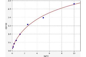 Typical standard curve (ATG7 ELISA 试剂盒)