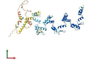 Protein Structure (PS) image for Zinc Finger Protein 20 (ZNF20) (AA 1-532) protein (His tag) (ABIN7545699)