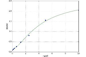 Syncollin (SYCN) ELISA Kit