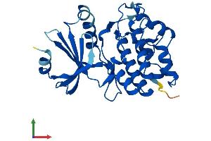 Protein Structure (PS) image for Testis-Specific Serine Kinase 6 (TSSK6) (AA 1-273) protein (His tag) (ABIN7544930)