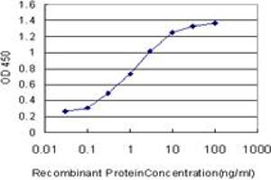 Detection limit for recombinant GST tagged MYL5 is approximately 0. (MYL5 抗体  (AA 1-132))