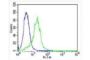 Overlay histogram showing Hela cells stained with Antibody (green line). (Lipoprotein Lipase 抗体  (AA 300-327))