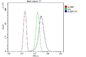 Flow Cytometry analysis of Hela cells using anti- BubR1/BUB1B antibody (ABIN7600960). (BUB1B 抗体  (AA 26-448))