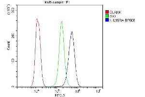 Flow Cytometry analysis of K562 cells using anti-IL15RA antibody (ABIN5519011). (IL15RA 抗体  (AA 31-174))