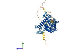 Protein Structure (PS) image for Solute Carrier Family 1 (Neuronal/epithelial High Affinity Glutamate Transporter, System Xag), Member 1 (SLC1A1) (AA 1-524) protein (His tag) (ABIN7553766)