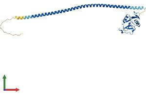 Protein Structure (PS) image for C-Type Lectin Domain Family 10, Member A (CLEC10A) (AA 1-304) protein (His tag) (ABIN7563336)
