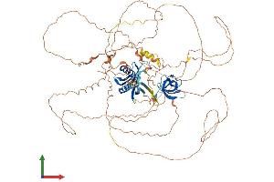 AlphaFold protein structure predicition of Mouse Recombinant Mapk8ip2 Protein, UniprotID Q9ERE9