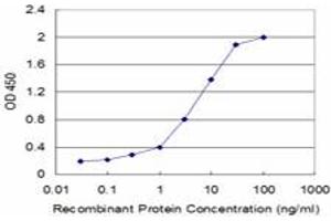 Detection limit for recombinant GST tagged FLT3LG is approximately 0. (FLT3LG 抗体  (AA 27-136))