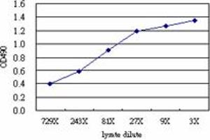 Sandwich ELISA detection sensitivity ranging from approximately 243x to 3x dilution of the DUT 293T overexpression lysate (non-denatured).