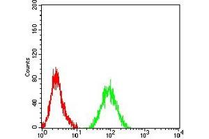 Flow cytometric analysis of HL-60 cells using CD124 mouse mAb (green) and negative control (red). (IL4 Receptor 抗体  (AA 26-232))