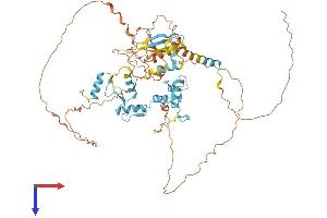 ZNF653 Protein (AA 1-615) (His tag)