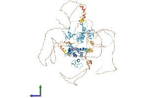 Protein Structure (PS) image for Basonuclin 1 (BNC1) (AA 1-961) protein (His tag) (ABIN7562387)