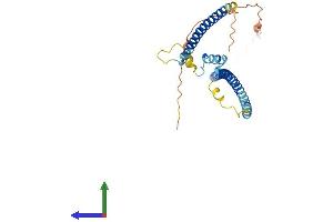Protein Structure (PS) image for Slow Skeletal Troponin T (TNNT1) (AA 1-278) protein (His tag) (ABIN7544614)