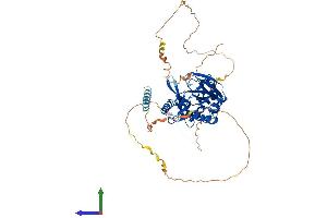AlphaFold protein structure predicition of Human Recombinant SYN2 Protein, UniprotID Q92777