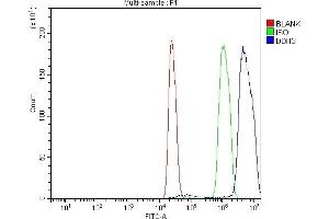 Flow Cytometry analysis of C6 cells using anti-Ddit3 antibody (ABIN7600249). (DDIT3 抗体  (AA 17-168))