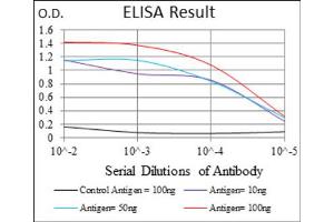 ELISA image for anti-Activated Leukocyte Cell Adhesion Molecule (ALCAM) (AA 48-216) antibody (ABIN1846221)