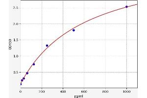 Klotho beta ELISA 试剂盒