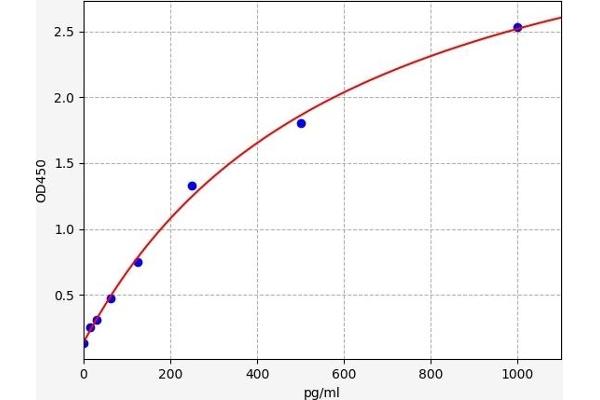 Klotho beta ELISA 试剂盒