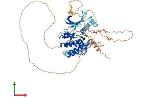 Protein Structure (PS) image for Serine/threonine Kinase 35 (STK35) (AA 1-539) protein (His tag) (ABIN7558466)