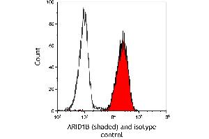 Flow Cytometry (FACS) image for anti-AT Rich Interactive Domain 1B (SWI1-Like) (ARID1B) (AA 1425-1475) antibody (ABIN7795694) (Recombinant ARID1B 抗体  (AA 1425-1475))