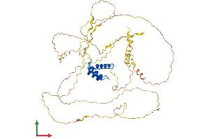 Protein Structure (PS) image for Iroquois Homeobox 3 (IRX3) (AA 1-501) protein (His tag) (ABIN7548572)