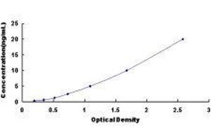 ELISA image for Aquaporin 8 (AQP8) ELISA Kit (ABIN418738)