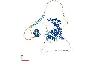 Protein Structure (PS) image for Spastin (SPAST) (AA 1-614) protein (His tag) (ABIN7565160)