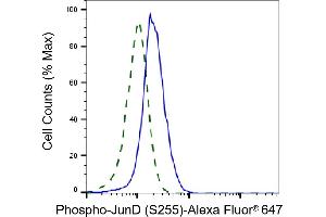 Validation of JunD knockdown using flow cytometry. (Recombinant JunD 抗体  (pSer255))