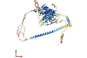Protein Structure (PS) image for Kinesin Family Member 12 (KIF12) (AA 1-642) protein (His tag) (ABIN7560933)