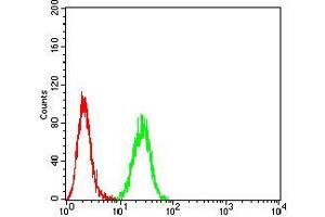 Flow cytometric analysis of Hela cells using Neuropilin-1 mouse mAb (green) and negative control (red). (Neuropilin 1 抗体  (AA 45-59))