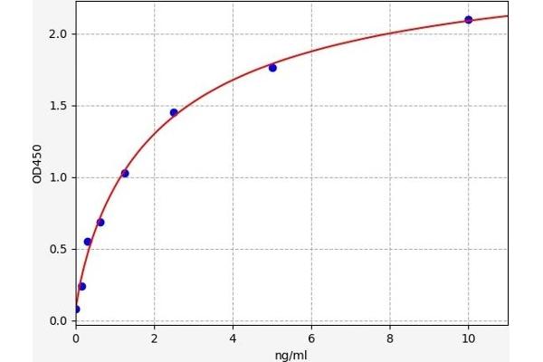 OLIG2 ELISA 试剂盒