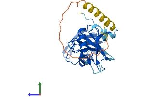 Protein Structure (PS) image for Small Nuclear Ribonucleoprotein Polypeptide B (SNRPB2) (AA 1-225) protein (His tag) (ABIN7560548)