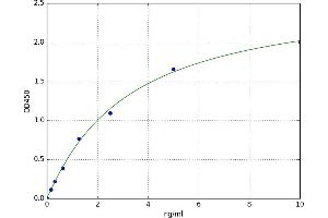 Taxilin alpha (TXLNA) ELISA Kit