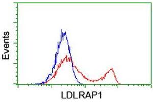 Flow Cytometry (FACS) image for anti-Low Density Lipoprotein Receptor Adaptor Protein 1 (LDLRAP1) antibody (ABIN1496686) (LDLRAP1 抗体)