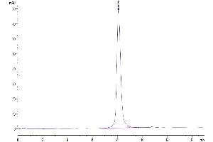 Size-exclusion chromatography-High Pressure Liquid Chromatography (SEC-HPLC) image for Colony Stimulating Factor 2 Receptor, Alpha, Low-Affinity (Granulocyte-Macrophage) (CSF2RA) (AA 30-327) protein (His tag) (ABIN7274431)